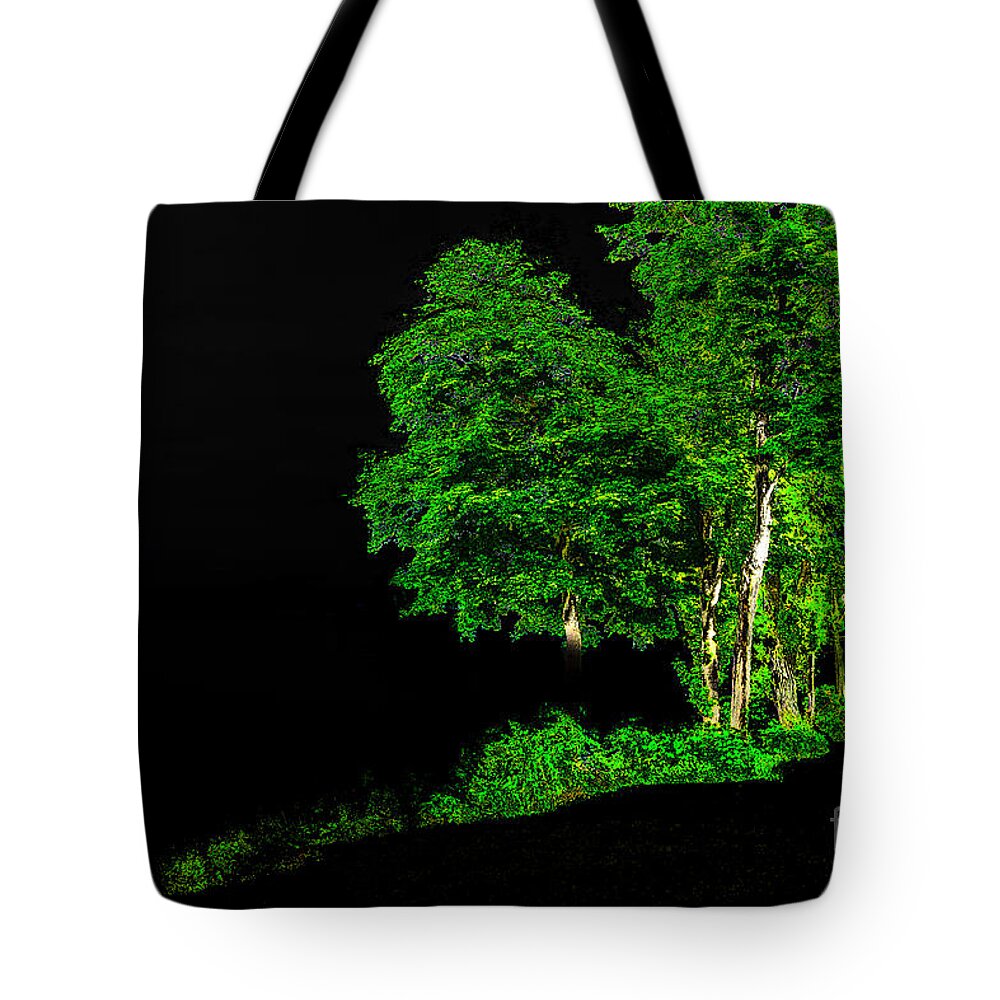 Tree Tote Bag featuring the photograph Tree Light by William Norton