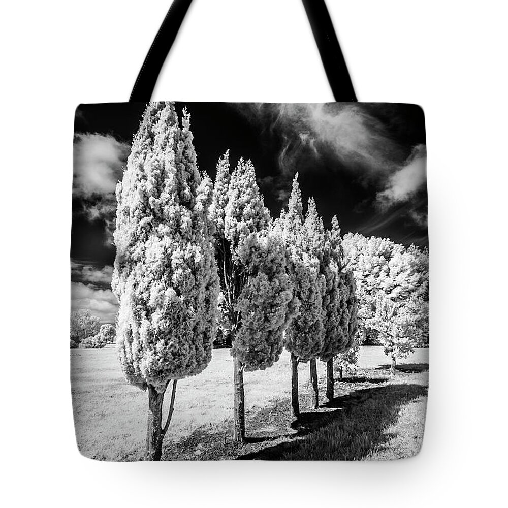 Infrared Tote Bag featuring the photograph Tree Line-Up by Roseanne Jones