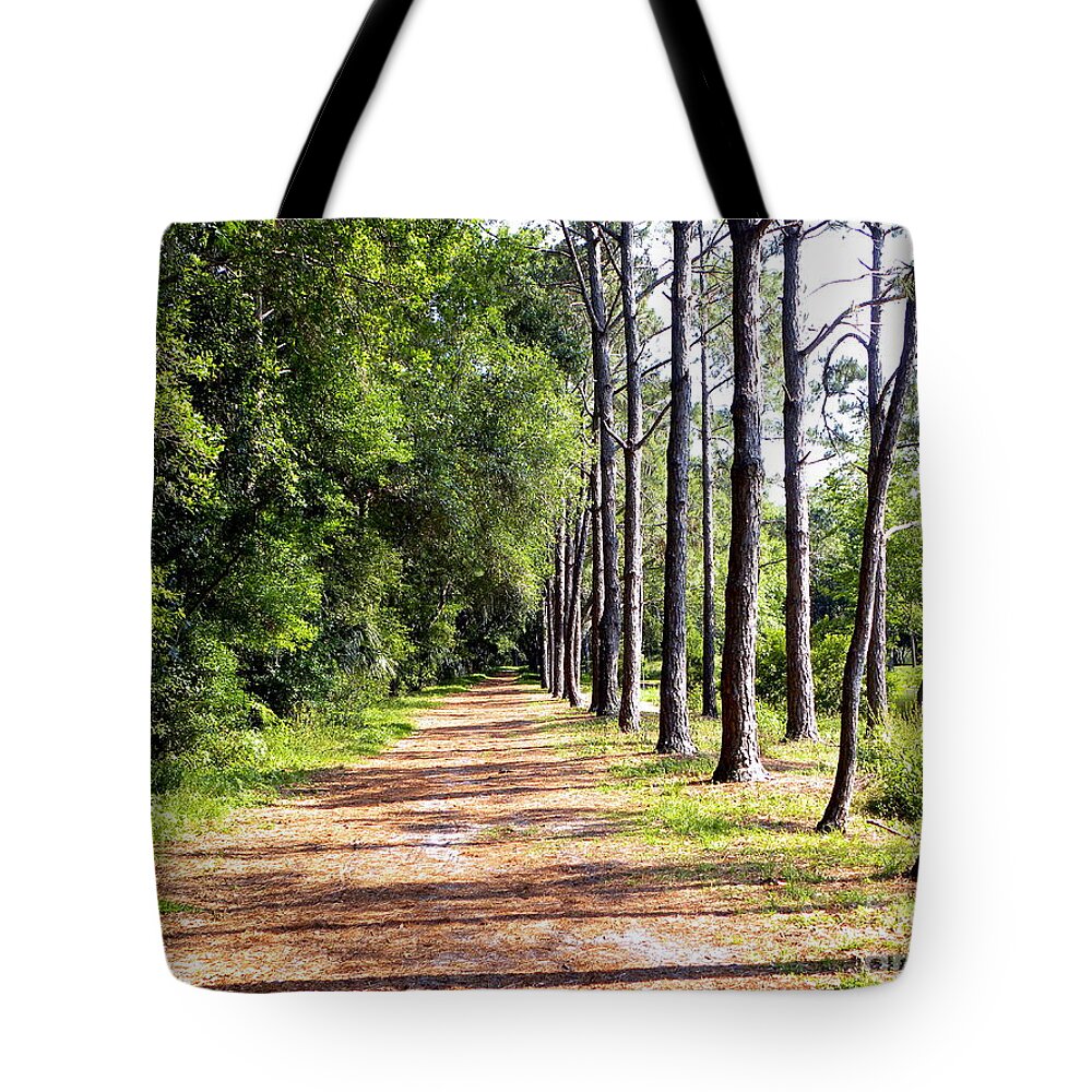 Trees Tote Bag featuring the photograph Tree Lined Path by Terri Mills