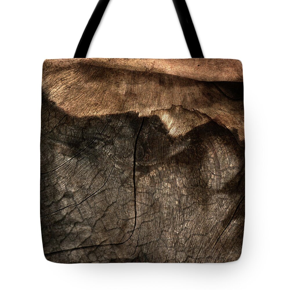 Trees Tote Bag featuring the photograph Tree Memories # 29 by Ed Hall