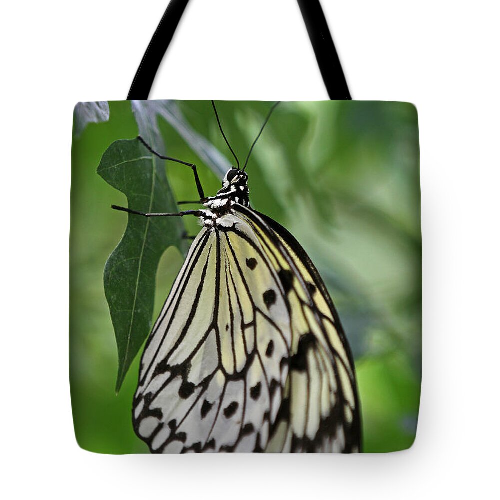 Butterfly Tote Bag featuring the photograph Tree Nymph by Juergen Roth