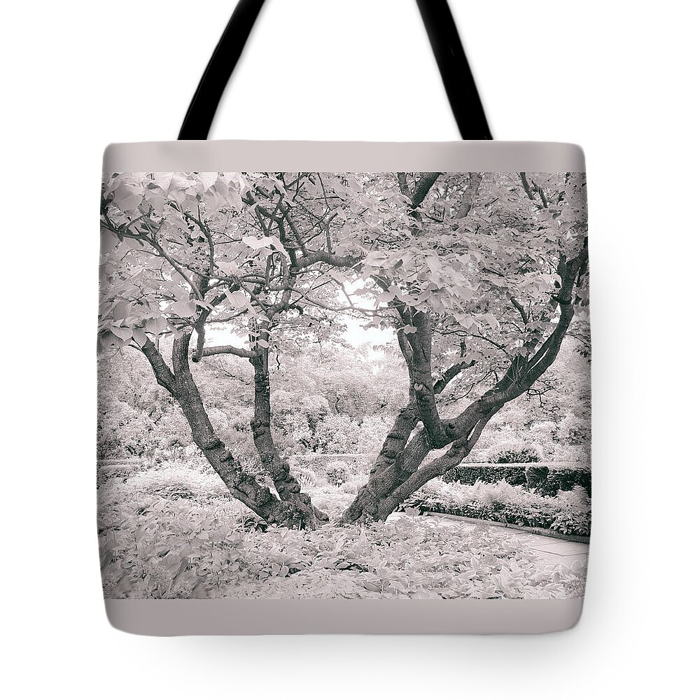 Tree Tote Bag featuring the photograph Tree of Life II by Jessica Jenney