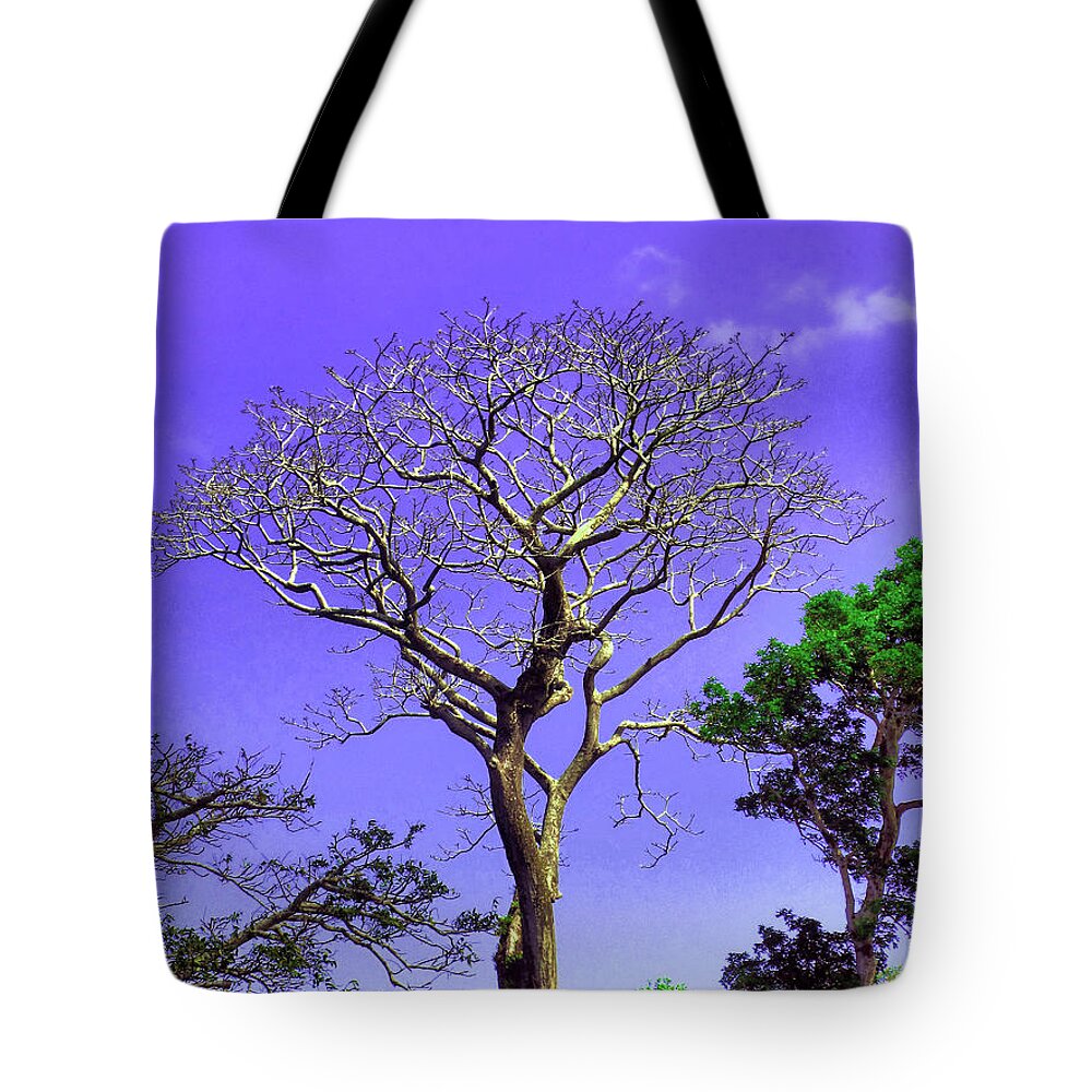 Tree Tote Bag featuring the photograph Tree of Life by Onedayoneimage Photography