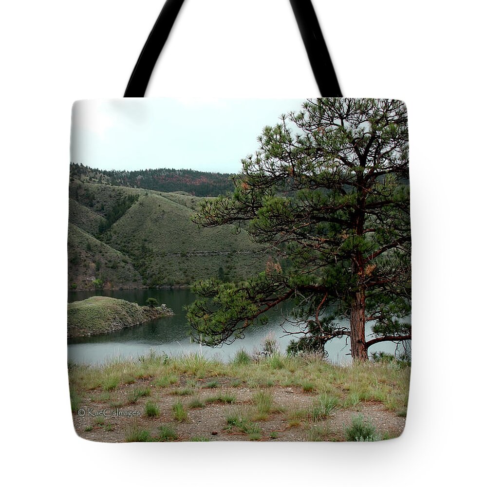 Tree Tote Bag featuring the photograph Tree on Missouri River Bluff by Kae Cheatham