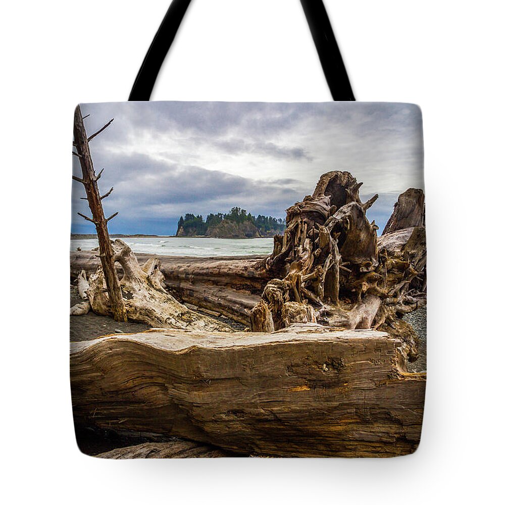 Beach Tote Bag featuring the photograph Tree Sculpture by Roslyn Wilkins