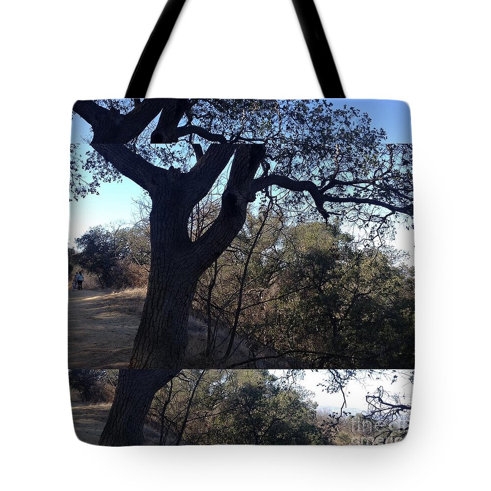 Tree Tote Bag featuring the photograph Tree Silhouette Collage by Nora Boghossian