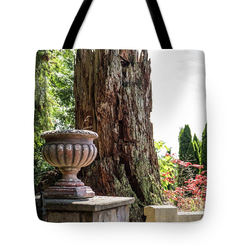 Tree Stump And Concrete Planter; Still Life; Contrast; Natural Art; Perspective; Balance; Mt. Vernon Tote Bag featuring the photograph Tree Stump and Concrete Planter by Tom Cochran