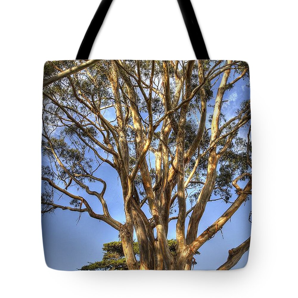 Hdr Process Tote Bag featuring the photograph Tree to the Heavens by Mathias 