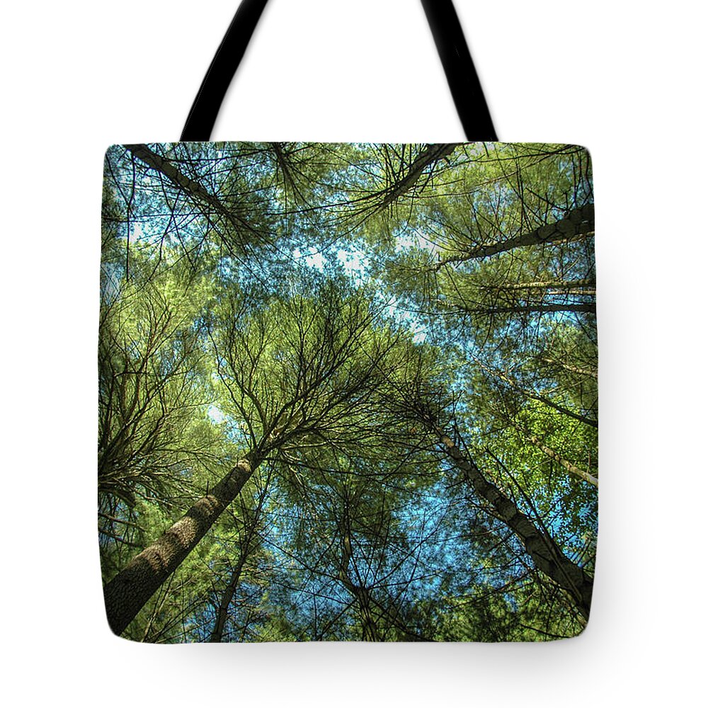 Forest Tote Bag featuring the photograph Tree Tops by Cathy Kovarik