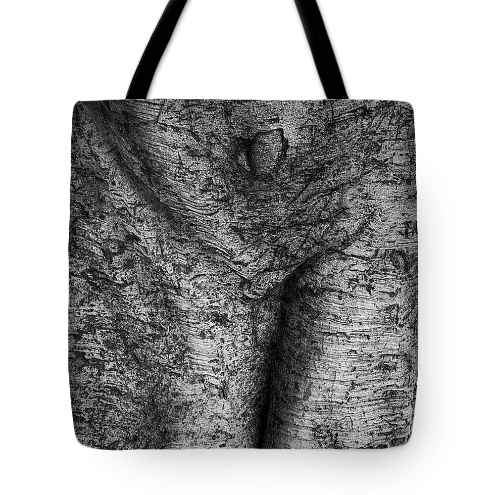 Tree Tote Bag featuring the photograph Tree Trunk I by David Gordon