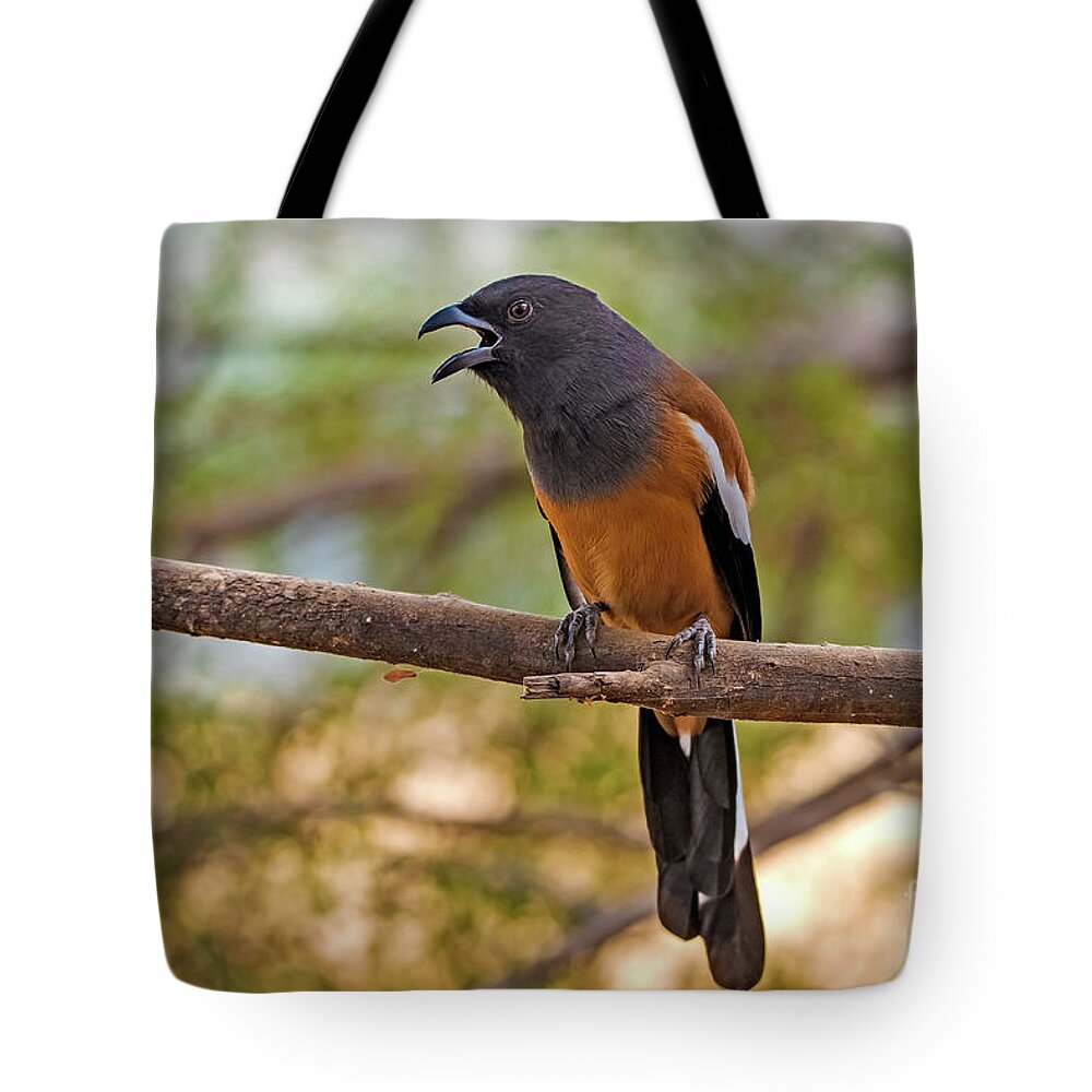 Bird Tote Bag featuring the digital art Treepie Calling by Pravine Chester