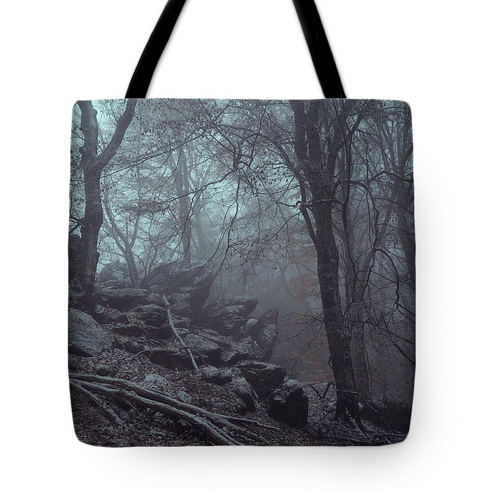 Jenny Rainbow Fine Art Photography Tote Bag featuring the photograph Trees and Rocks in Misty Woods by Jenny Rainbow
