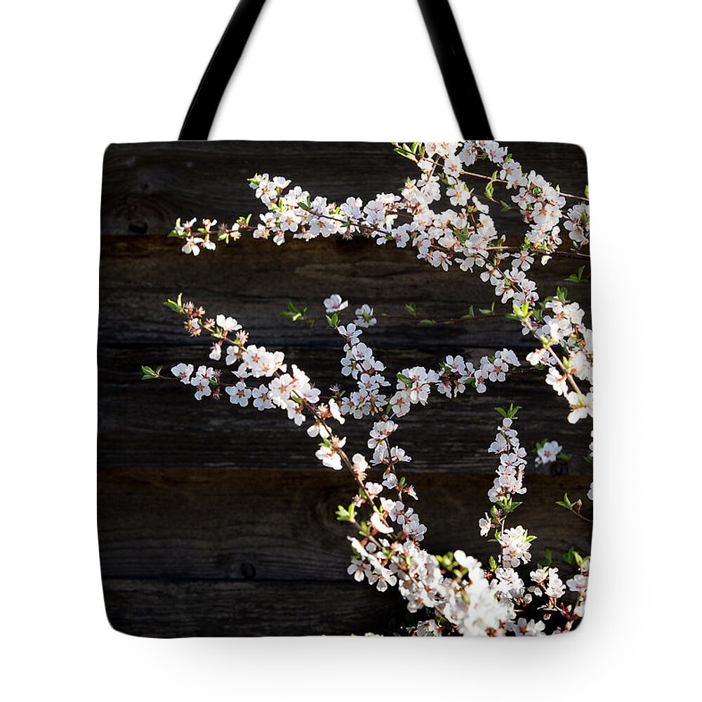 Tree Tote Bag featuring the photograph Trees - Blooming Flowers by Donald Erickson