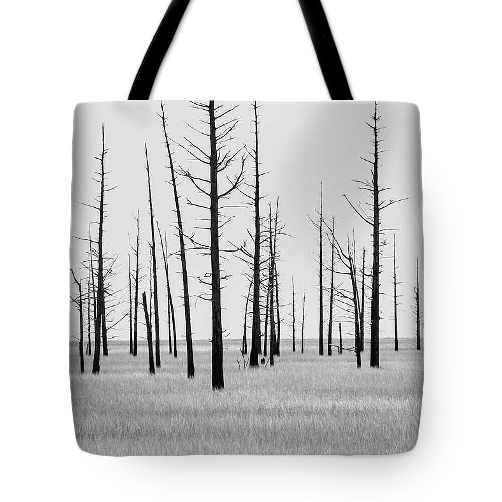 Landscape Tote Bag featuring the photograph Trees Die off by Louis Dallara