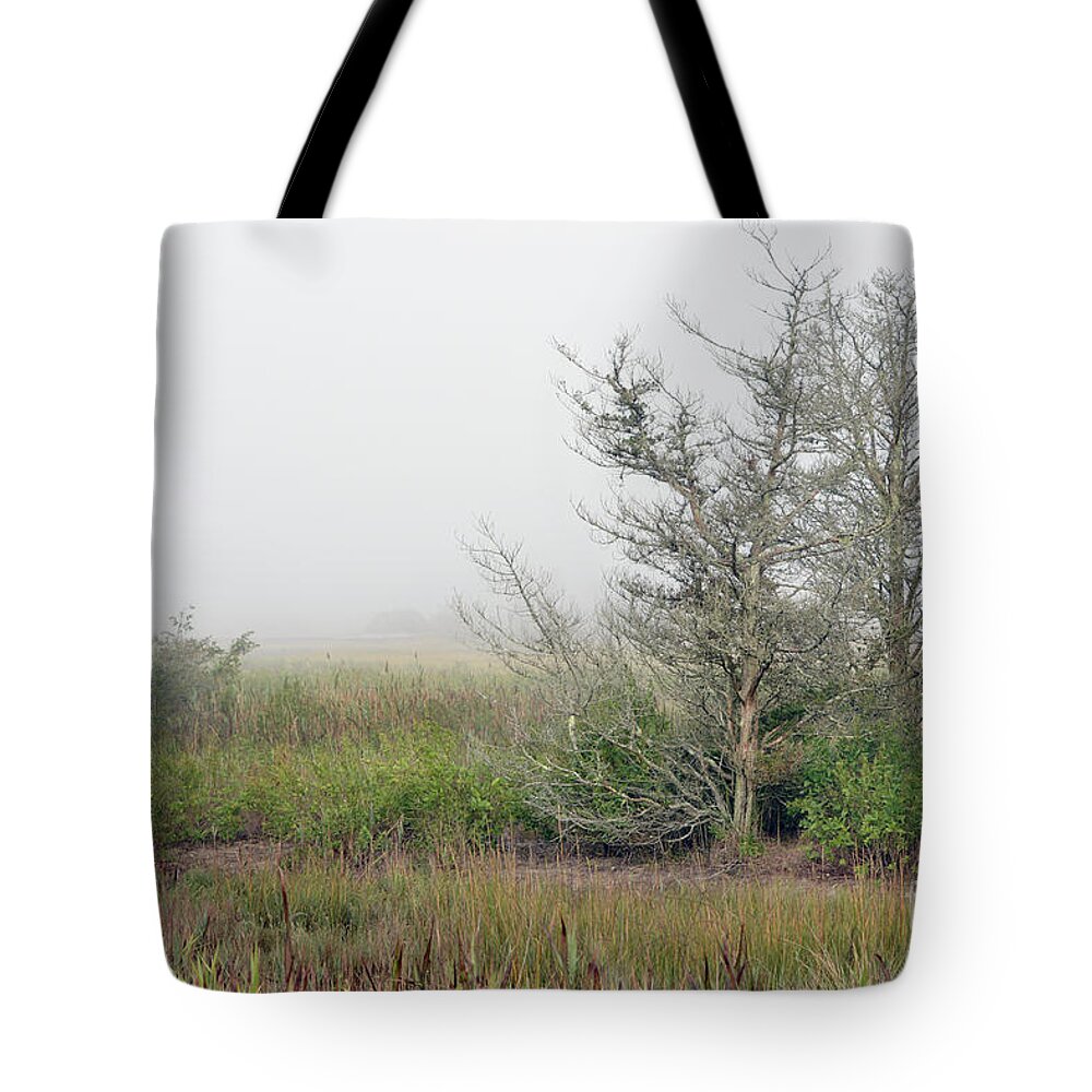 Fall Tote Bag featuring the digital art Trees in Fog by Dianne Morgado