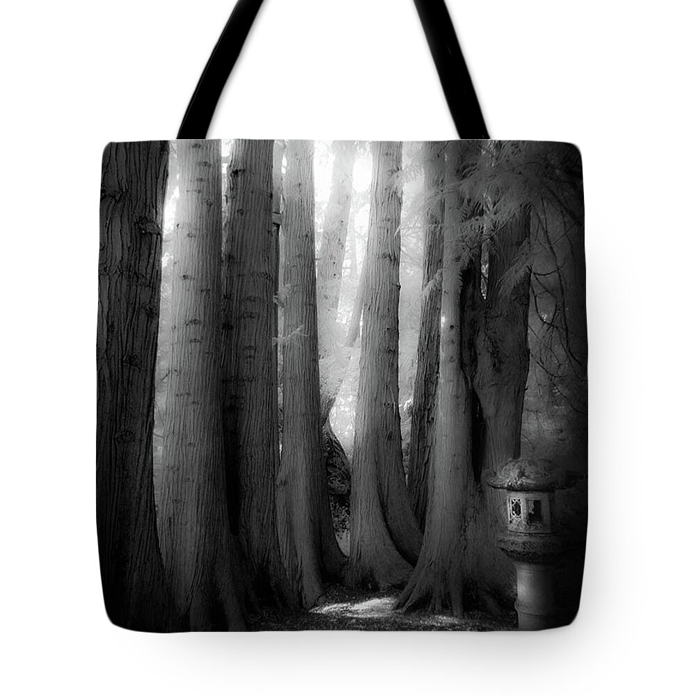  Tote Bag featuring the photograph Haunted Grove by Cybele Moon