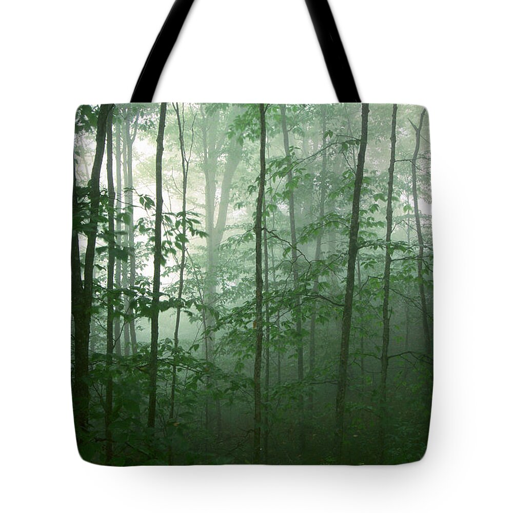 Asheville Tote Bag featuring the photograph Trees in the Mist by Joye Ardyn Durham