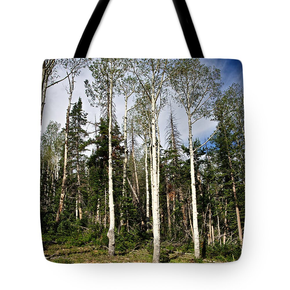 Trees Tote Bag featuring the photograph Trees by John Daly