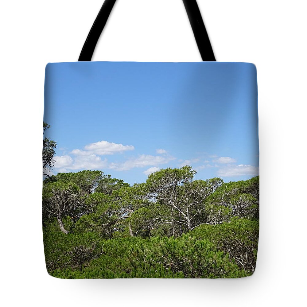 Sky Tote Bag featuring the photograph Trees by Maximilian Weber