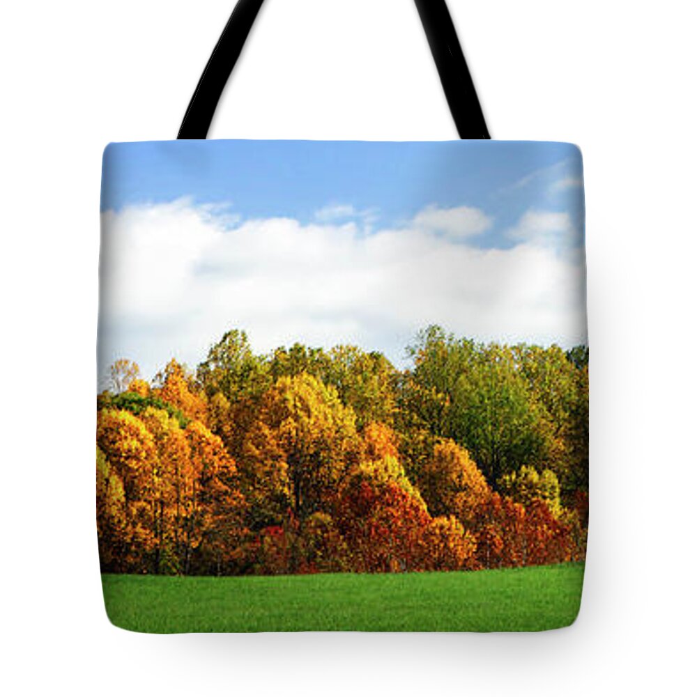Color Tote Bag featuring the photograph Trees of Gold by Alan Hausenflock