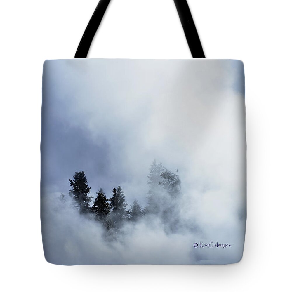 Firehole River Tote Bag featuring the photograph Trees through Firehole River Mist by Kae Cheatham
