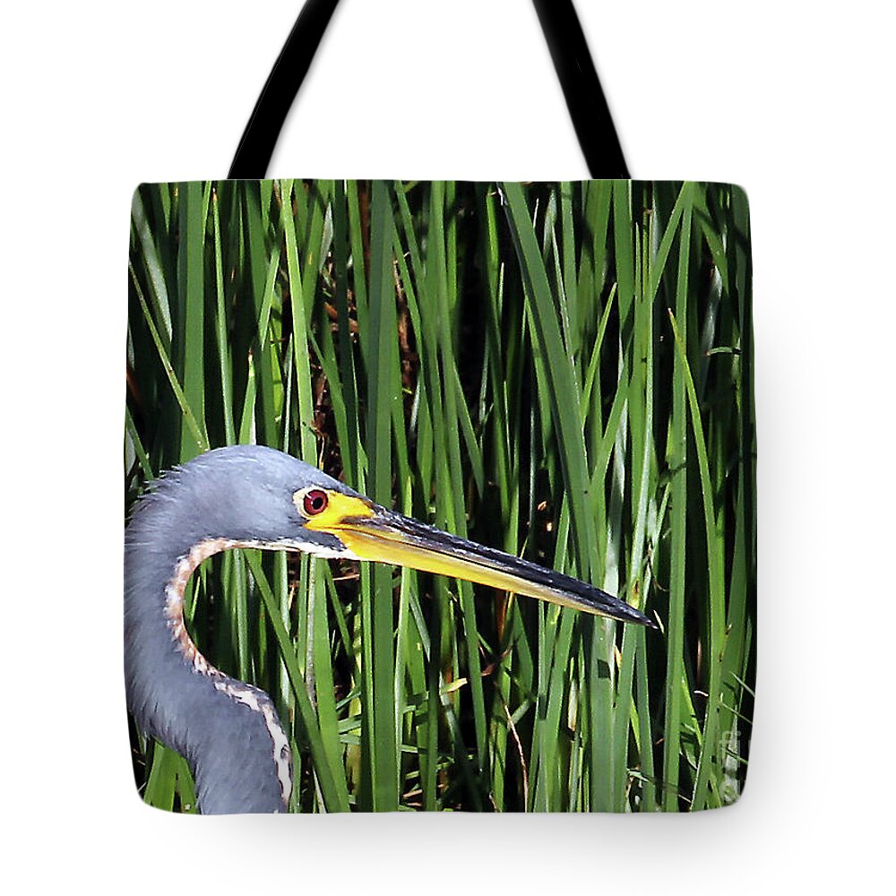 Tri-colored Heron In Reeds Tote Bag featuring the photograph Tri-colored Heron in Reeds by Jennifer Robin