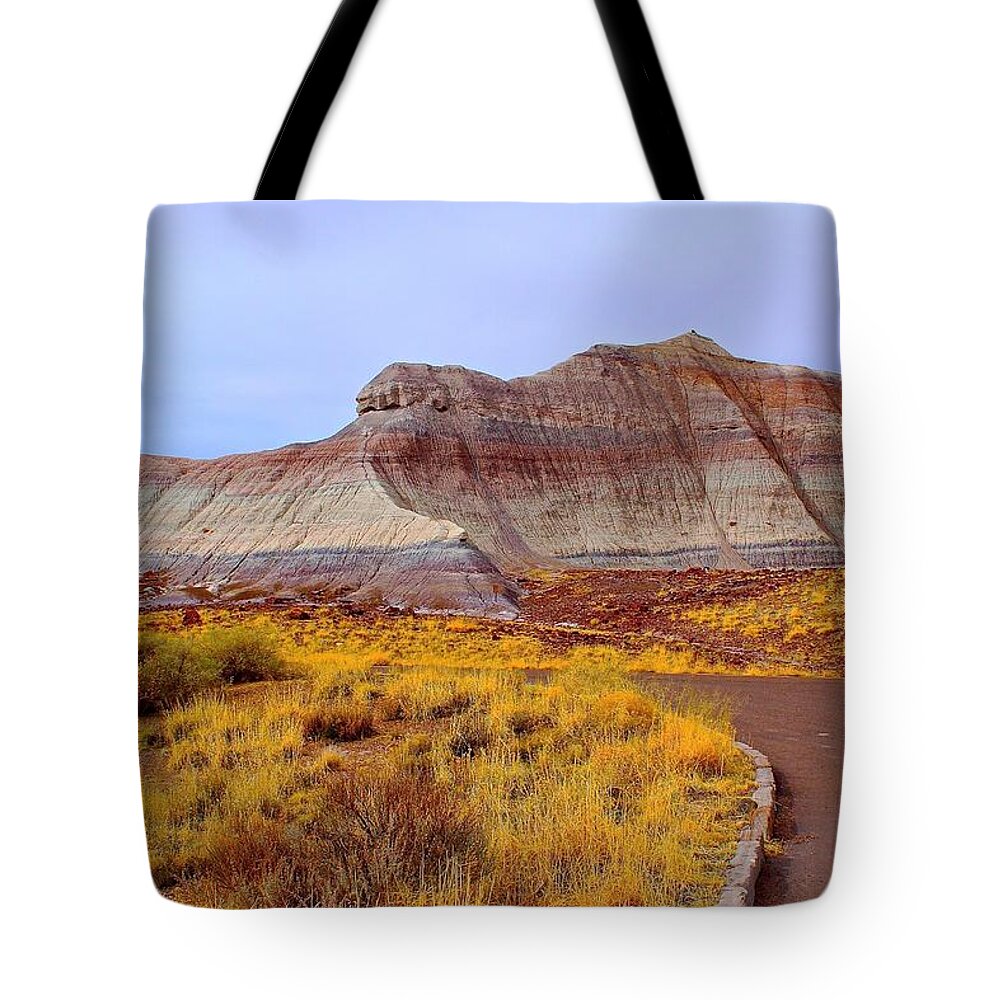 Arizona Tote Bag featuring the photograph Triassic Landscape by Barbara Zahno