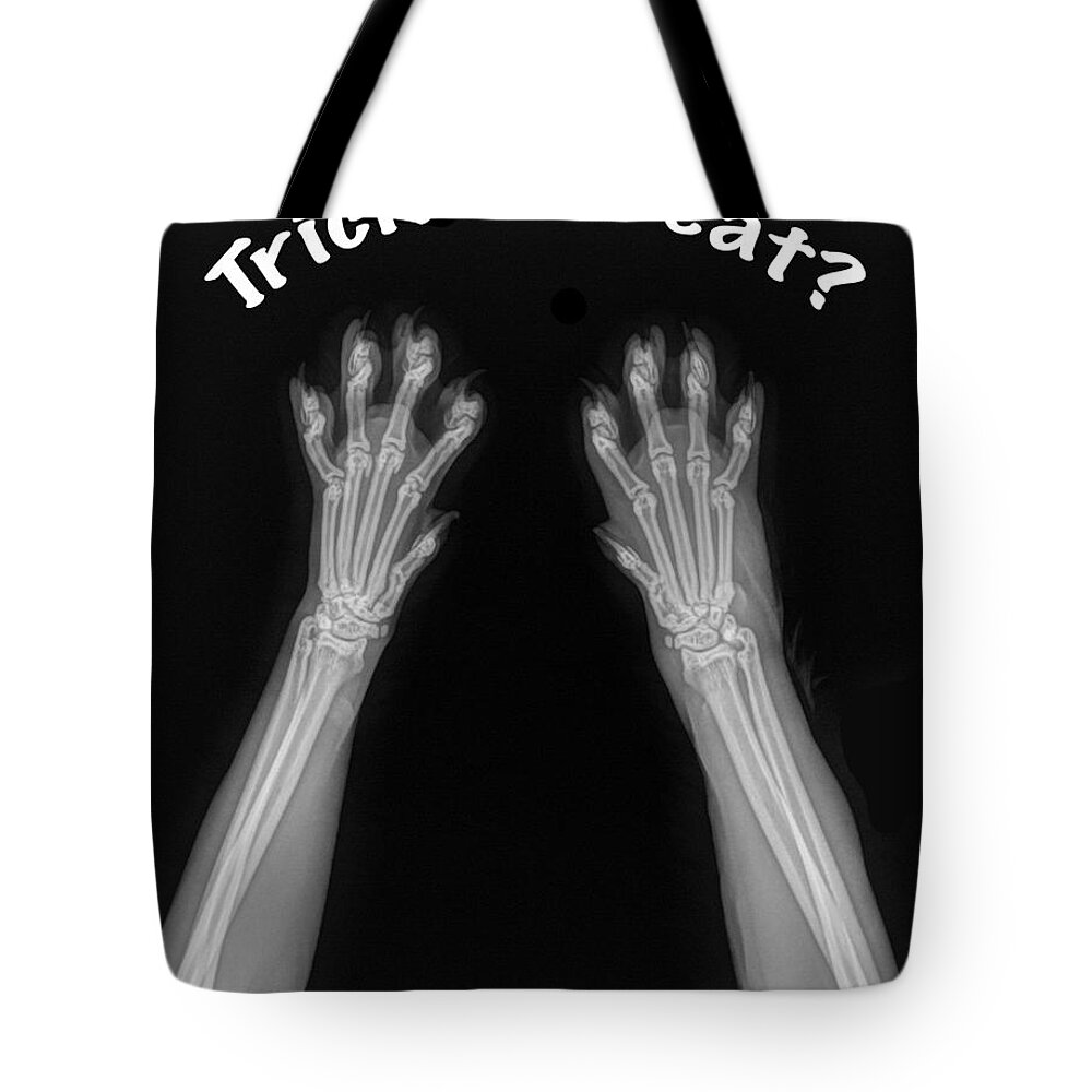 Cat Tote Bag featuring the photograph Trick or Treat by Bill Thomson