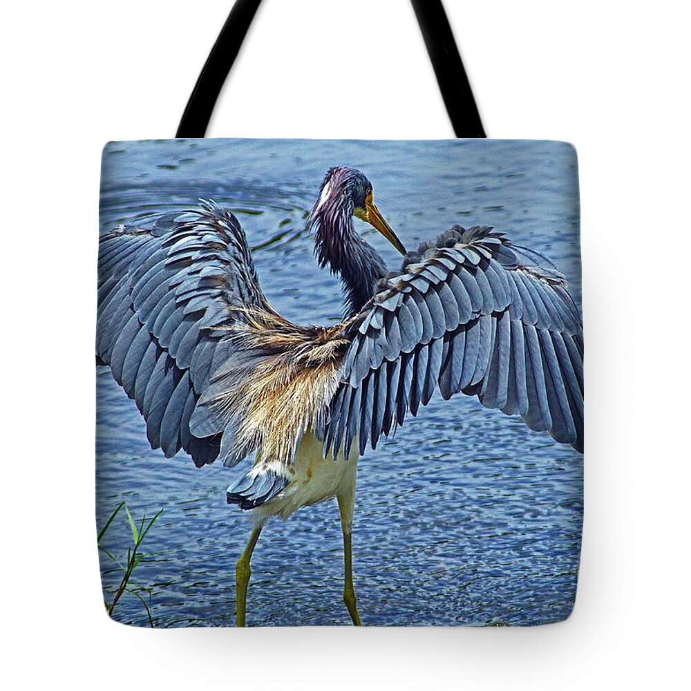 Bird Tote Bag featuring the photograph TriColor Heron The Grand Opening by Larry Nieland