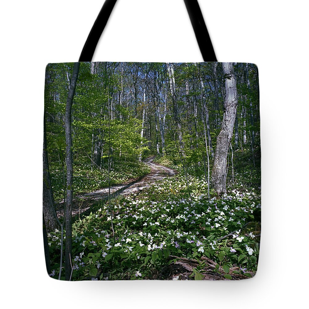 Trillium Woods Tote Bag featuring the photograph Trillium Woods No. 2 by Kris Rasmusson