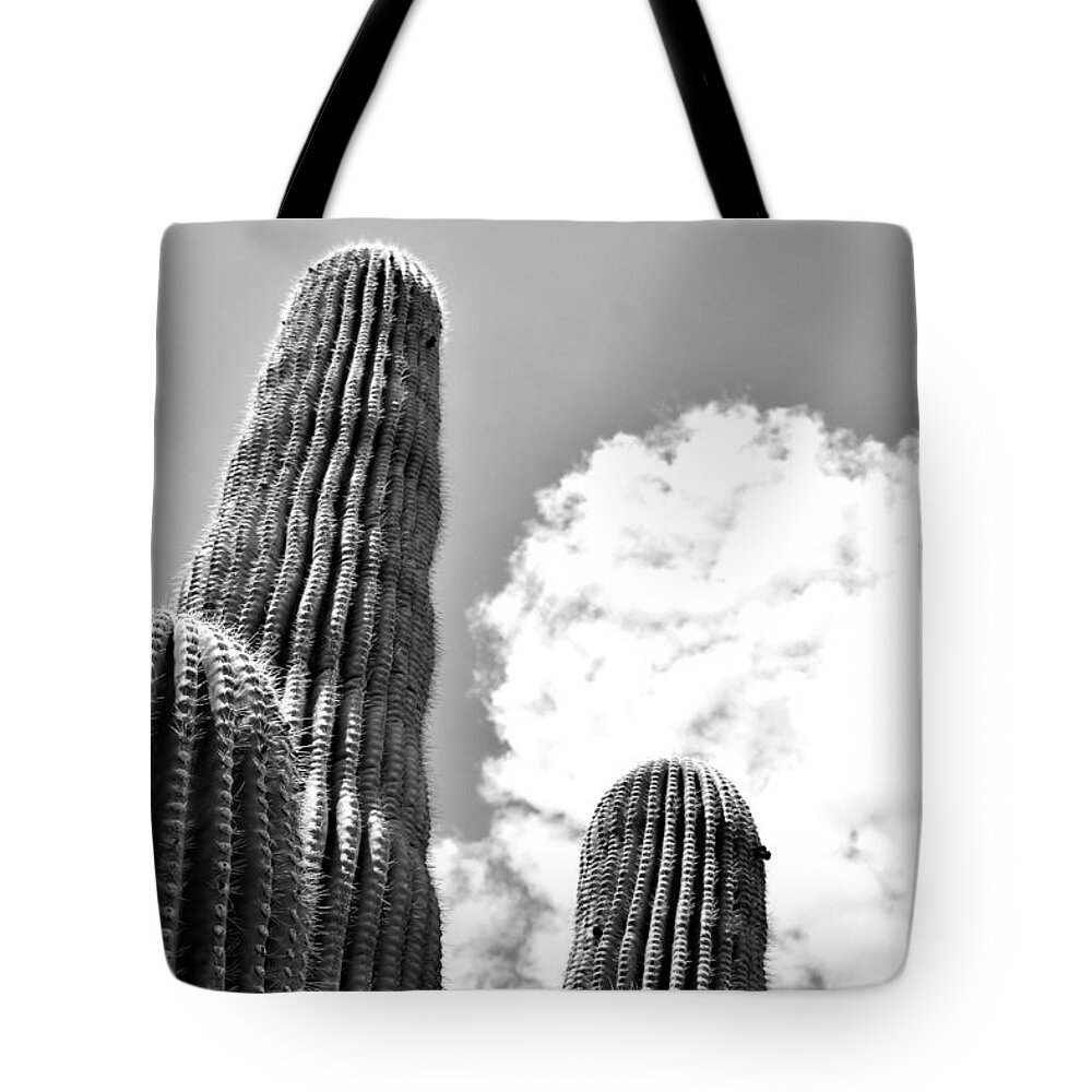 Saguaro Tote Bag featuring the photograph Trio by Melisa Elliott