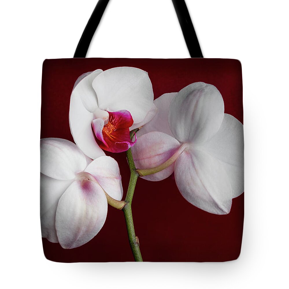 Flower Tote Bag featuring the photograph Trio of Orchids by Tom Mc Nemar