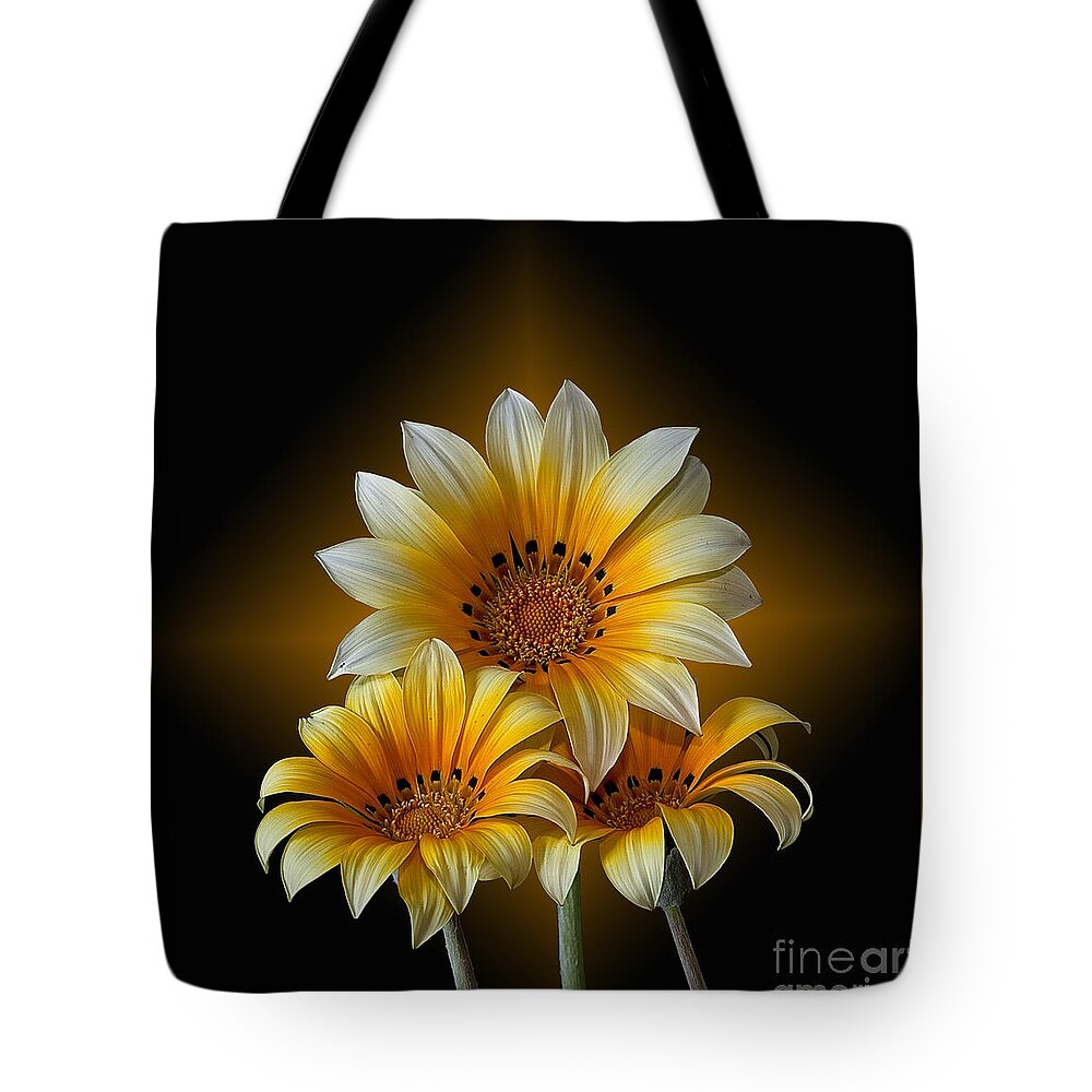 Peruvian Daisy Tote Bag featuring the photograph Triple Sunshine Black and Gold by Shirley Mangini