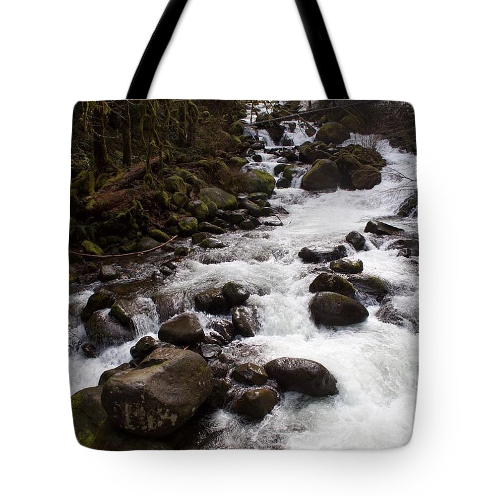 Triples Feed Tote Bag featuring the photograph Triple's Feed by Dylan Punke