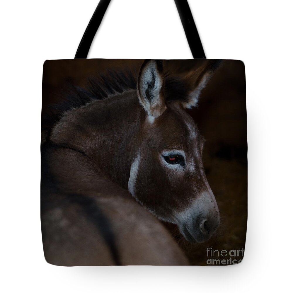 Pet Angel Photography Tote Bag featuring the photograph Trixie by Irina ArchAngelSkaya