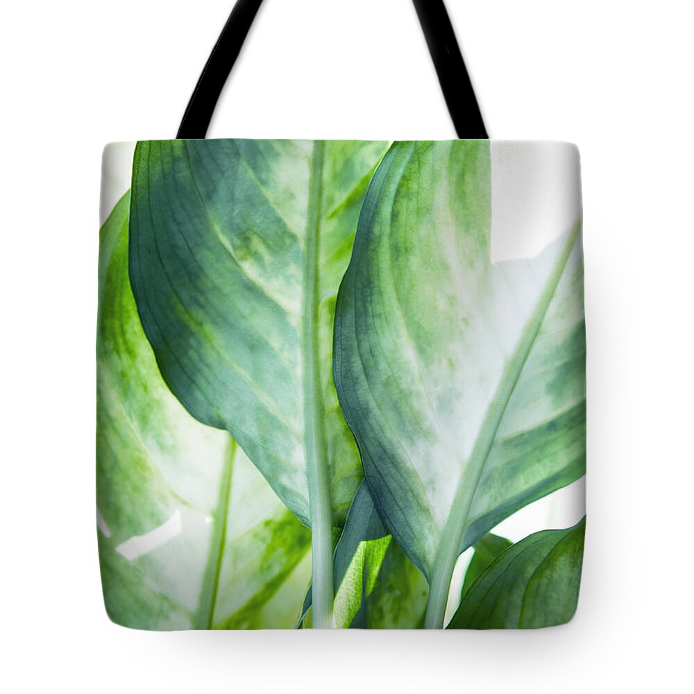 Summer Tote Bag featuring the painting Tropic Green Abstract by Mark Ashkenazi