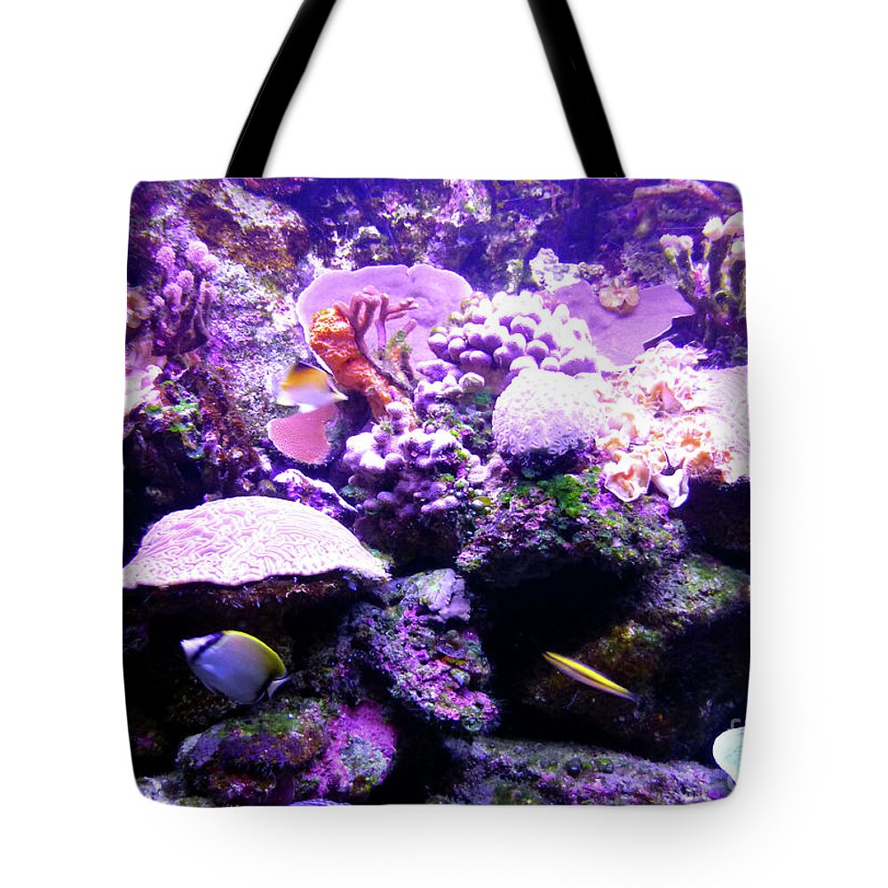 Aquarium Tote Bag featuring the photograph Tropical Aquarium by Francesca Mackenney