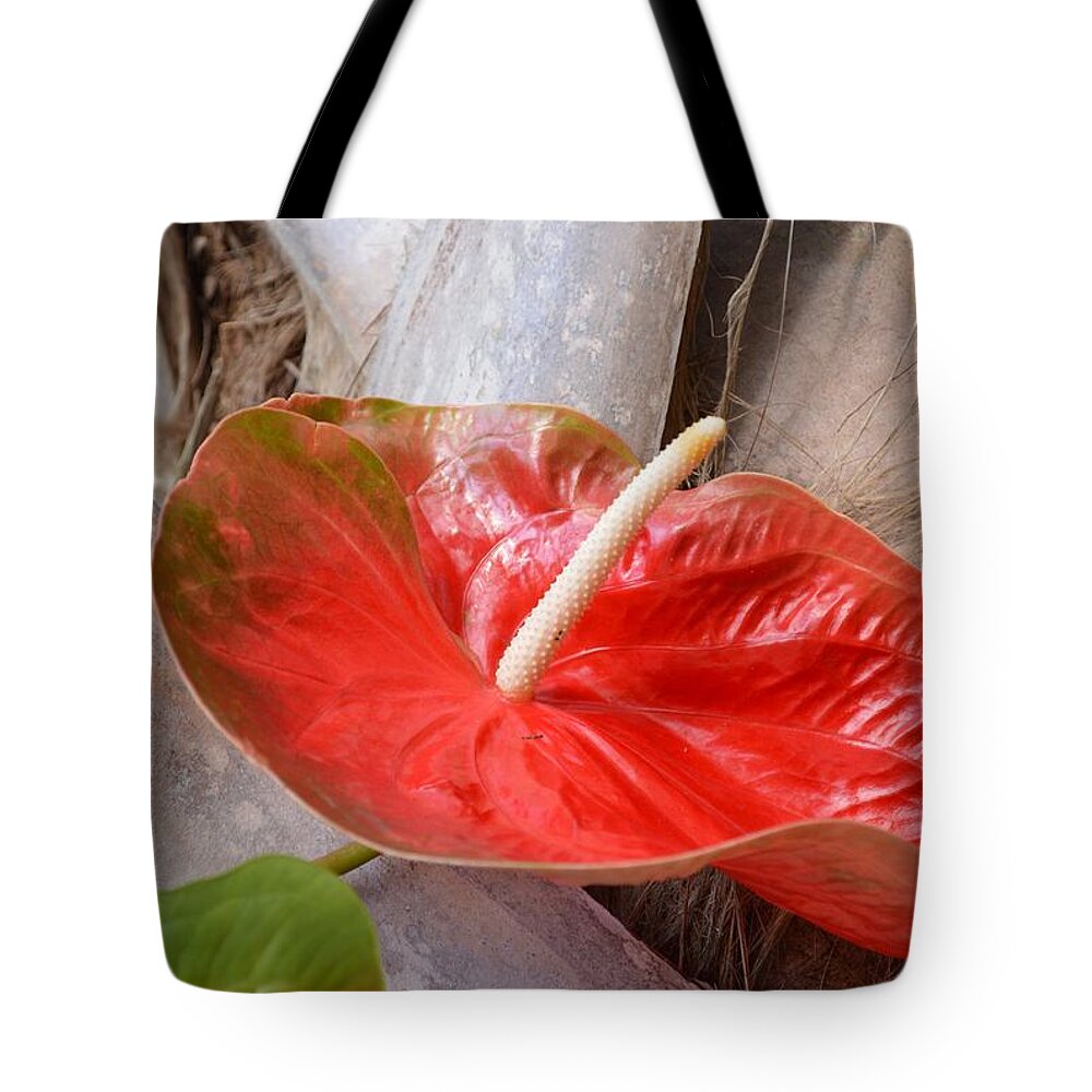 Floralart Tote Bag featuring the photograph Tropical Beauty by Sonali Gangane
