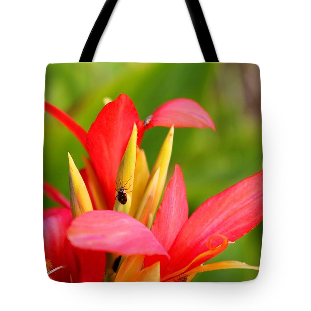 Flower Tote Bag featuring the photograph Tropical Fall by Megan Bennett