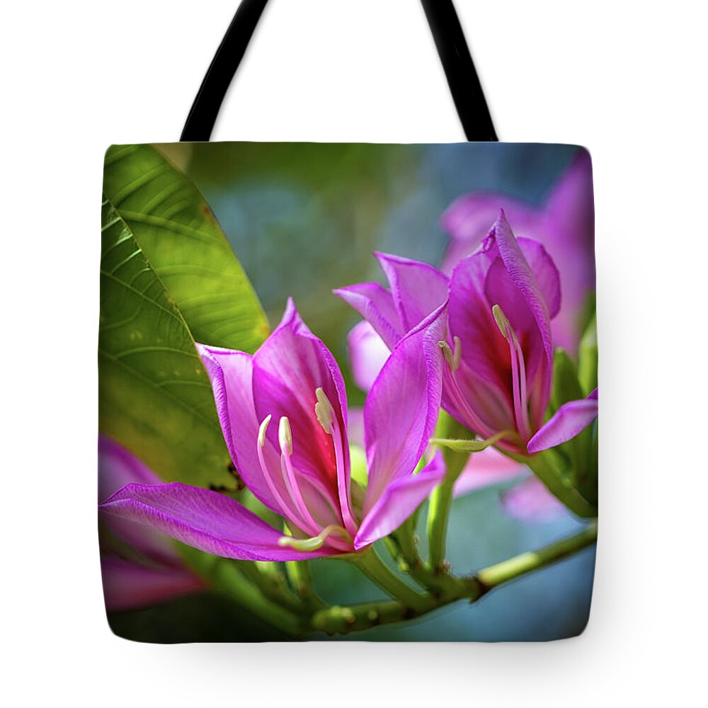 Flowers Tote Bag featuring the photograph Tropical Line Dance by Laura Roberts