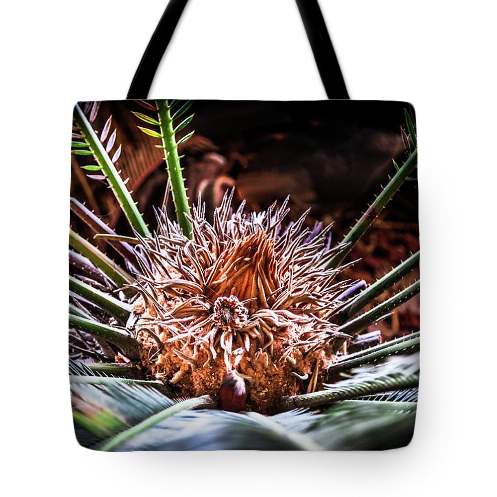 Tropical Palms Tote Bag featuring the photograph Tropical Moments by Karen Wiles