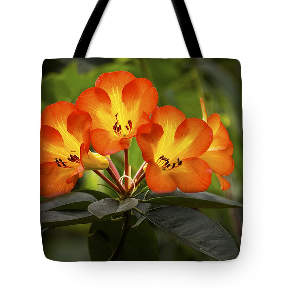 Blossom Tote Bag featuring the photograph Tropical Rhododendron by Penny Lisowski