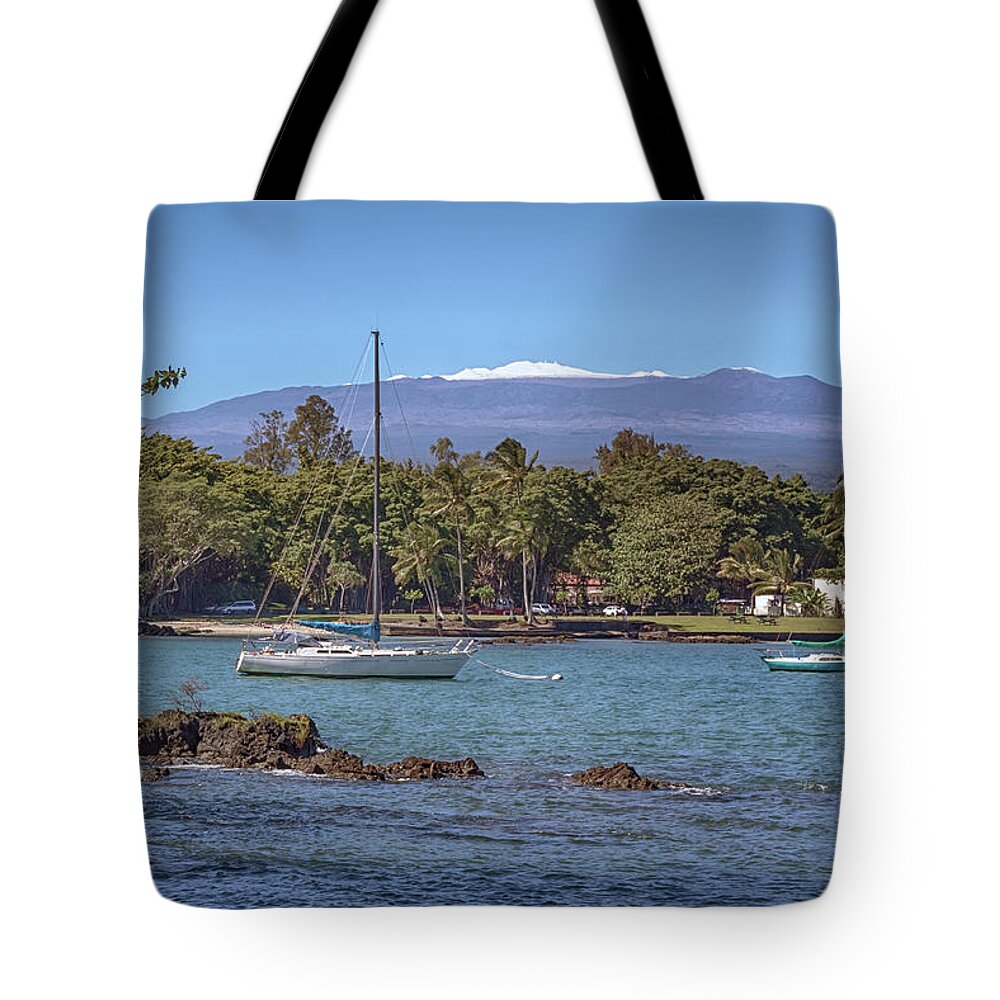 Hilo Tote Bag featuring the photograph Tropical Snow by Susan Rissi Tregoning