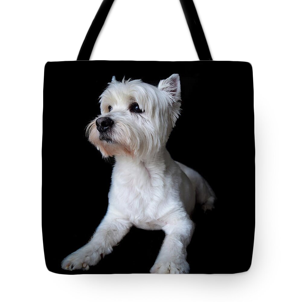 Westie Tote Bag featuring the photograph Trot Posing by Nicole Lloyd