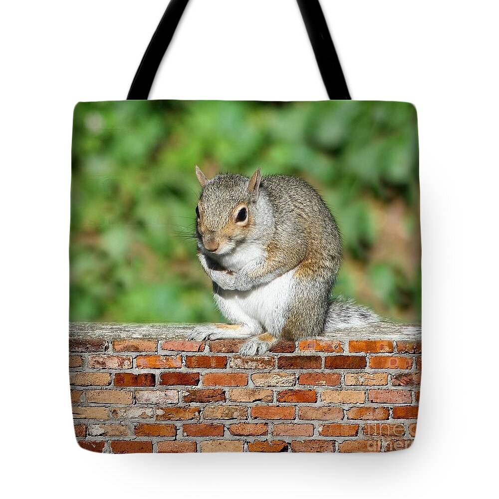 Squirel Tote Bag featuring the photograph Trouble Brewing by Barbara S Nickerson
