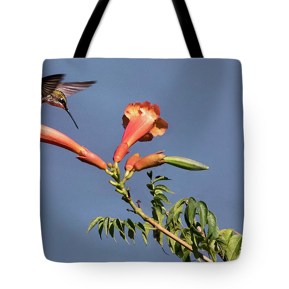 Ruby-throated Hummingbird Tote Bag featuring the photograph Trumpet Call by Art Cole
