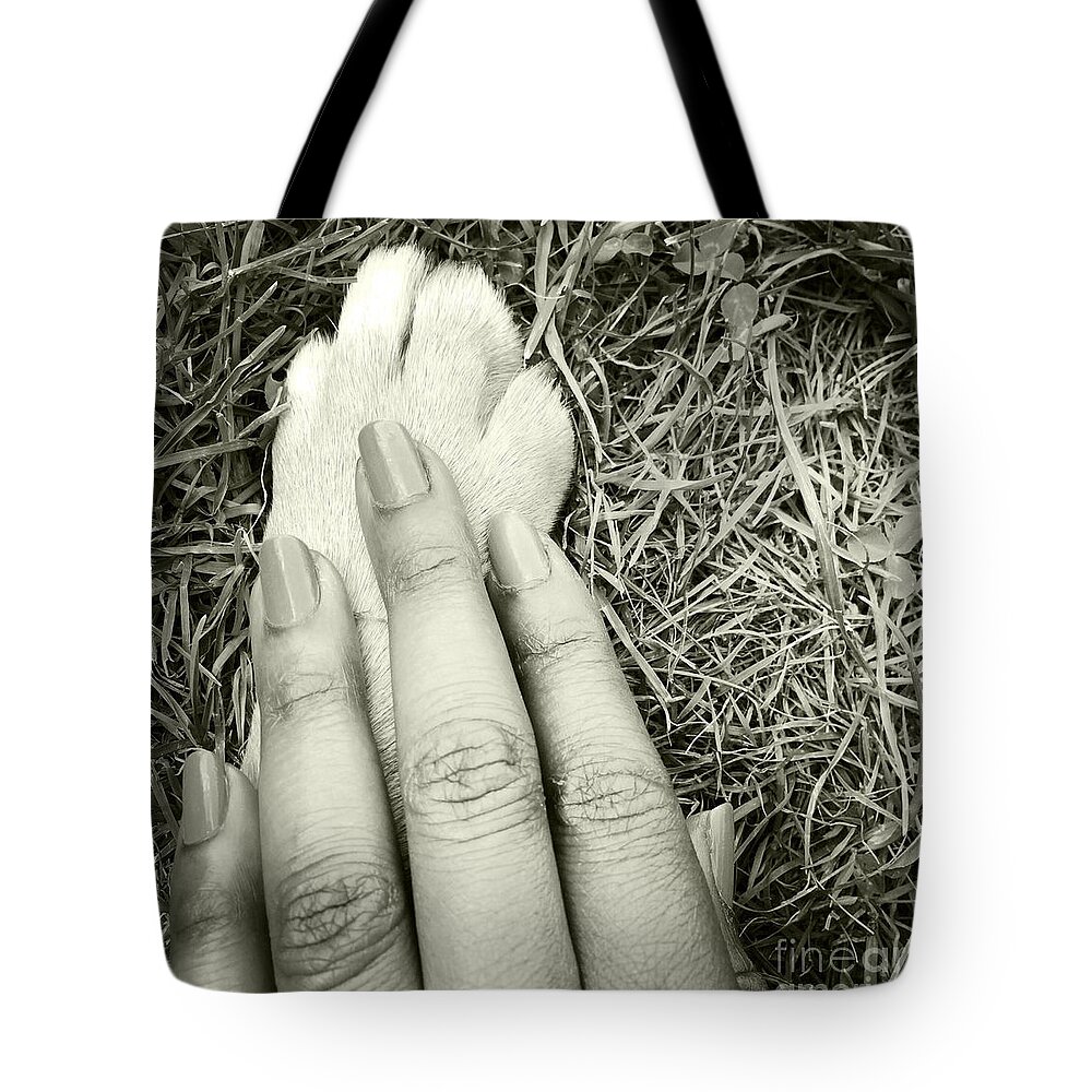 Paw Tote Bag featuring the photograph Trust by Onedayoneimage Photography