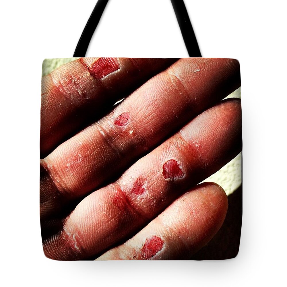 Cute Tote Bag featuring the photograph Try Hard by Noah Kaufman