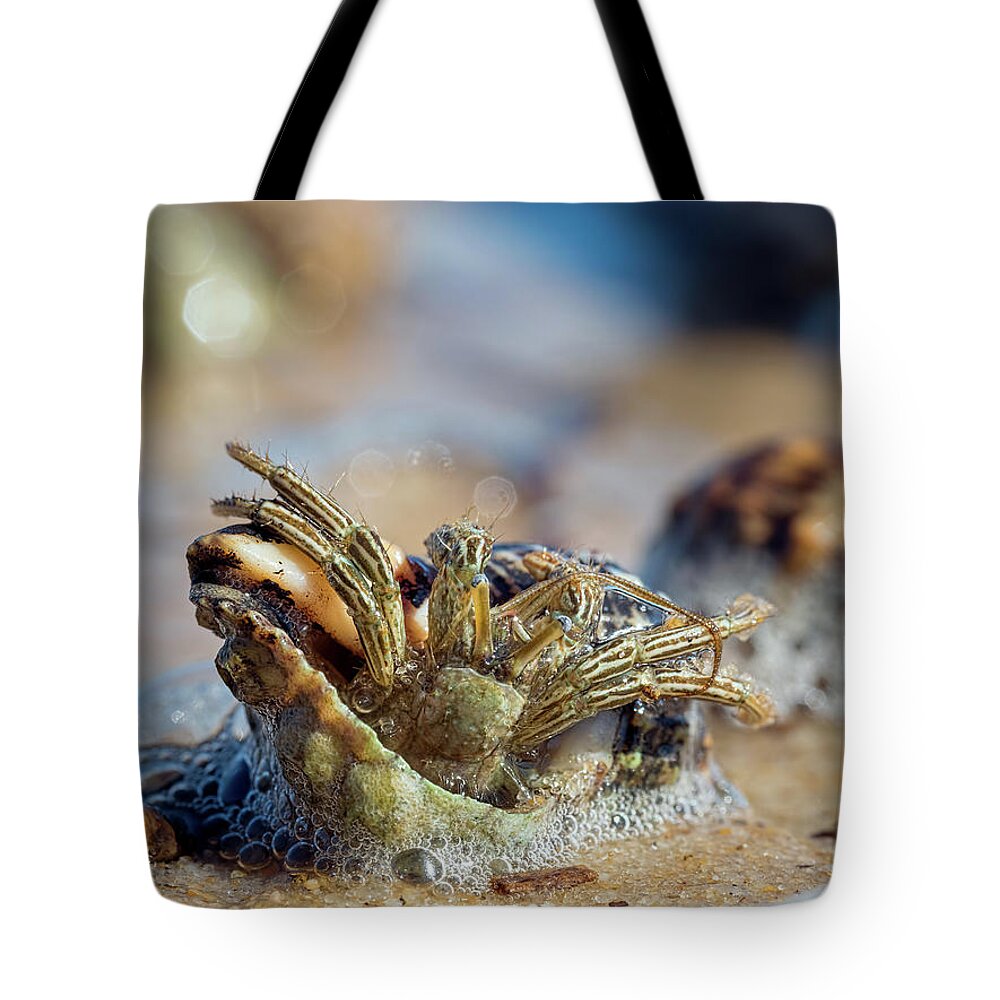 Crab Tote Bag featuring the photograph Trying to Move by Brad Boland