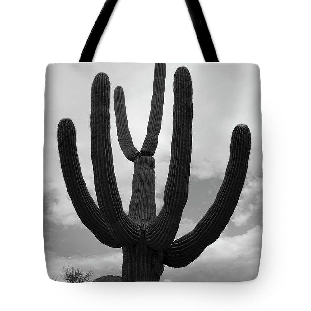 Cactus Tote Bag featuring the photograph Tucson II BW by David Gordon